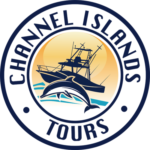 Channel Islands Charter Boat Fishing Whale Watching More